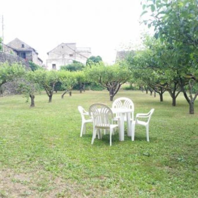 Casa Rural Barangua En El Pirineo Aragones Санта-Крус-де-ла-Серос Экстерьер фото